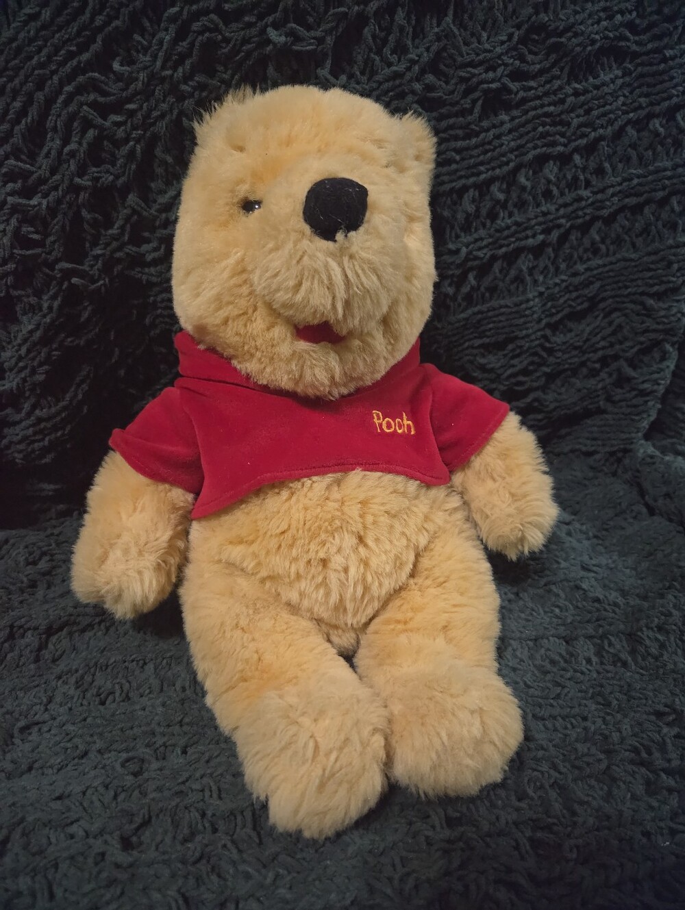 Disney Winnie the Pooh Plush Toy